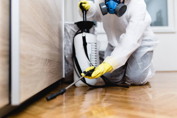 Best Pest Removal Services  in Phillipsburg, NJ