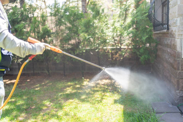 Best Mosquito Control Services  in Phillipsburg, NJ